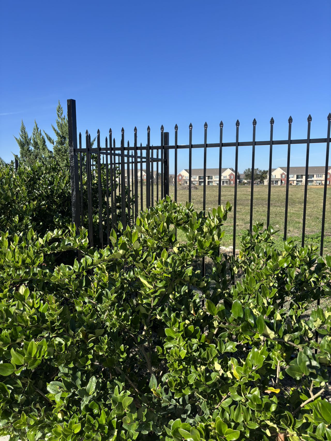 DIY 8X6 Fence Panel with Brackets
